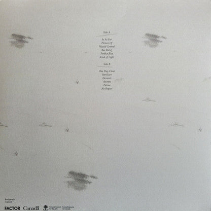 I Held The Shape While I Could (VINYL) | Near Mint (NM) Near Mint (NM)-