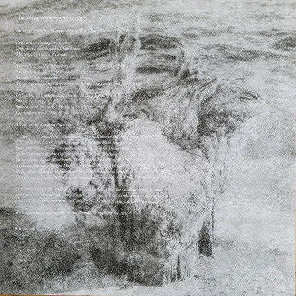 I Held The Shape While I Could (VINYL) | Near Mint (NM) Near Mint (NM)-