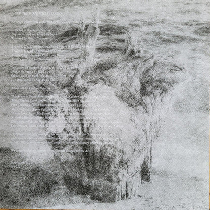 I Held The Shape While I Could (VINYL) | Near Mint (NM) Near Mint (NM)-