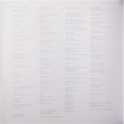 Robert Wyatt - Comicopera (2xVINYL) | Near Mint (NM) Near Mint (NM)-