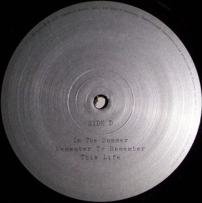 Edward Sharpe And The Magnetic Zeros - Edward Sharpe And The Magnetic Zeros (VINYL) | Near Mint (NM) Near Mint (NM)-