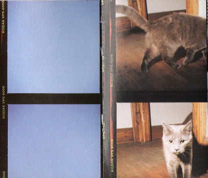 Goo Goo Dolls - A Boy Named Goo *CASSETTE* | Near Mint (NM) Near Mint (NM)-
