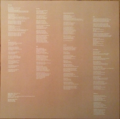 Soccer Mommy - Clean (VINYL) | Near Mint (NM) Very Good Plus Plus (VG++)-