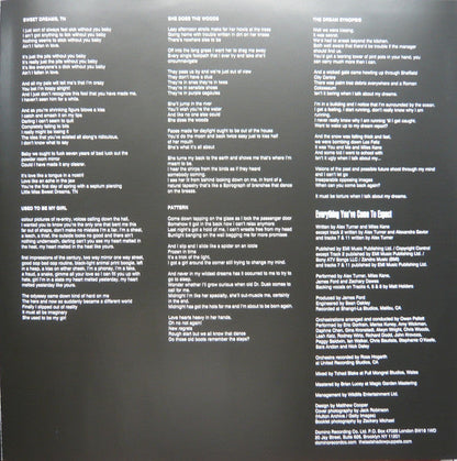 The Last Shadow Puppets - Everything You've Come To Expect | Mint (M) Mint (M)-