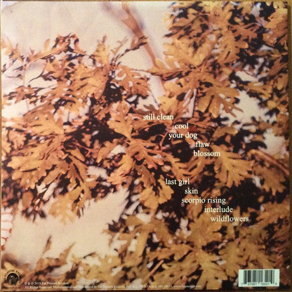 Soccer Mommy - Clean (VINYL) | Near Mint (NM) Very Good Plus Plus (VG++)-