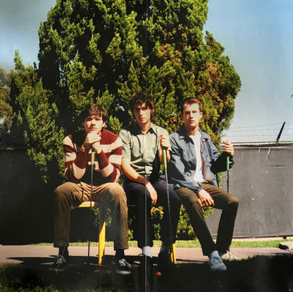 Wallows - Nothing Happens (VINYL) | Near Mint (NM) Near Mint (NM)-