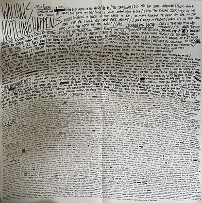 Wallows - Nothing Happens (VINYL) | Near Mint (NM) Near Mint (NM)-