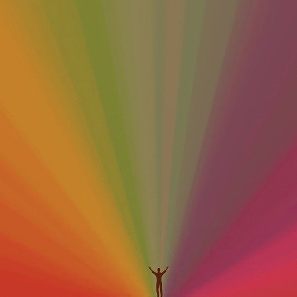 Edward Sharpe And The Magnetic Zeros - Edward Sharpe And The Magnetic Zeros (VINYL) | Near Mint (NM) Near Mint (NM)-
