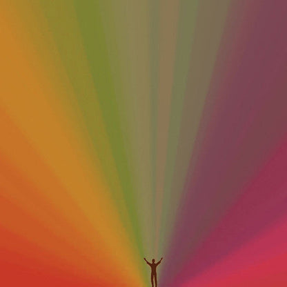 Edward Sharpe And The Magnetic Zeros - Edward Sharpe And The Magnetic Zeros (VINYL) | Near Mint (NM) Near Mint (NM)-