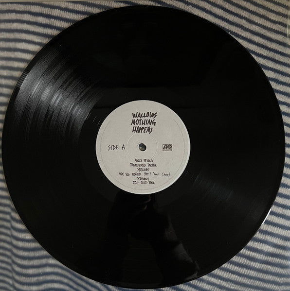 Wallows - Nothing Happens (VINYL) | Near Mint (NM) Near Mint (NM)-