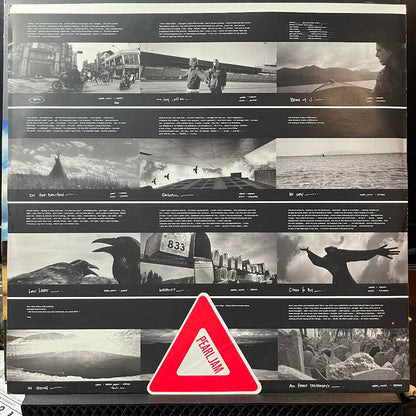 Pearl Jam - Yield (VINYL) | Near Mint (NM) Excellent (EX)-
