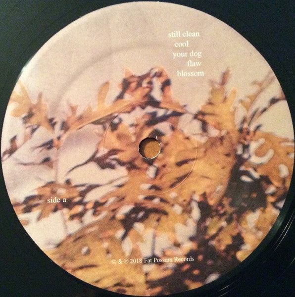 Soccer Mommy - Clean (VINYL) | Near Mint (NM) Very Good Plus Plus (VG++)-