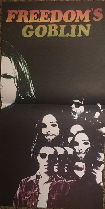 Ty Segall - Freedom’s Goblin (2xVINYL) | Mint (M) Mint (M)-