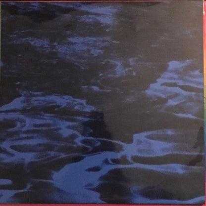 Ty Segall - Freedom’s Goblin (2xVINYL) | Mint (M) Mint (M)-