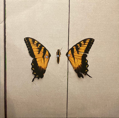 Paramore - Brand New Eyes (VINYL) | Mint (M) Mint (M)-