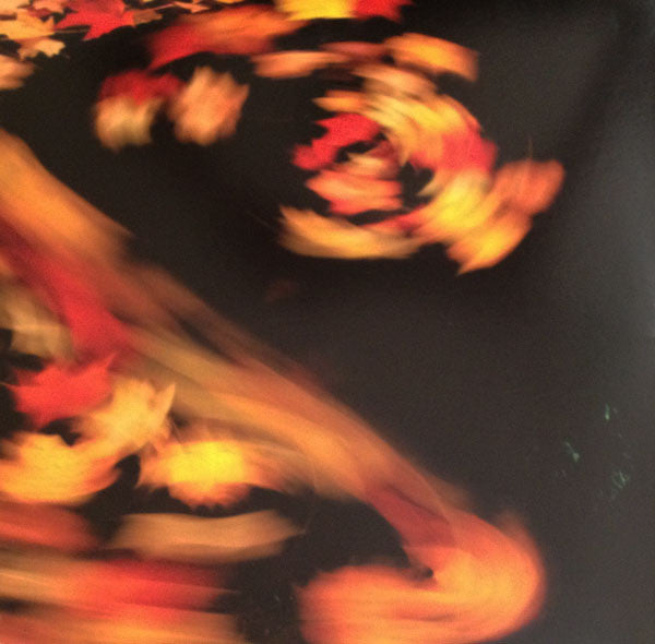 Animal Collective - Merriweather Post Pavilion (2xVINYL) | Mint (M) Mint (M)-