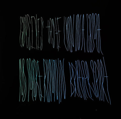 Animal Collective - Merriweather Post Pavilion (2xVINYL) | Mint (M) Mint (M)-