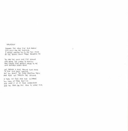Black Country, New Road - Ants From Up There | Mint (M) Mint (M)-