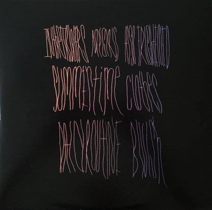 Animal Collective - Merriweather Post Pavilion (2xVINYL) | Mint (M) Mint (M)-