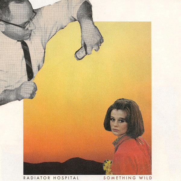 Radiator Hospital - Something Wild | Mint (M) Mint (M)-