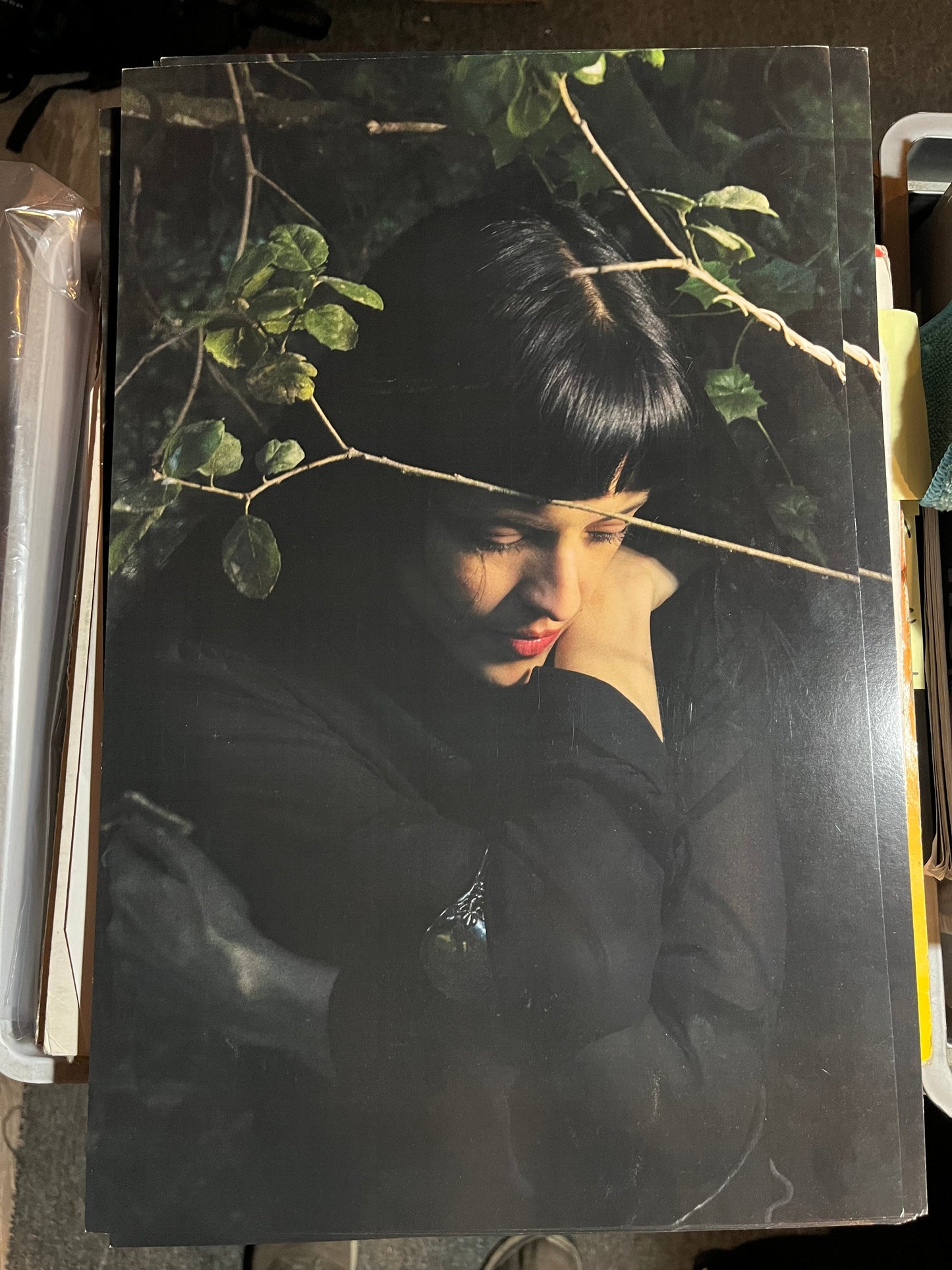 Maria Zardoya / Not For Radio - Melt 2025 Album Poster Litho 11" x 17" The Marias |-