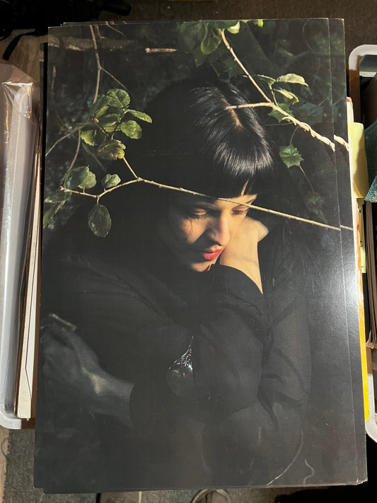 Maria Zardoya / Not For Radio - Melt 2025 Album Poster Litho 11" x 17" The Marias |-