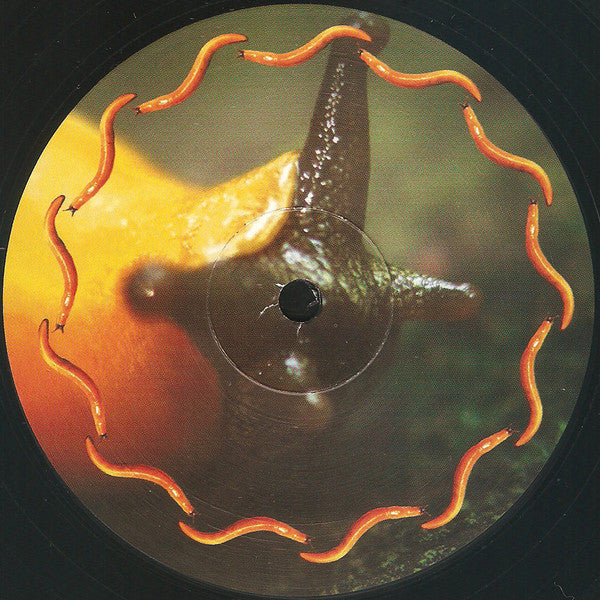 A Perfect Circle - Thirteenth Step | Mint (M) Mint (M)-