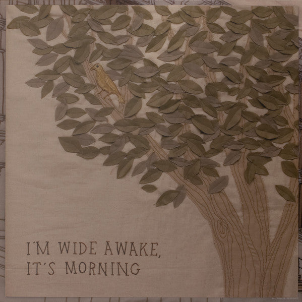 Bright Eyes - I'm Wide Awake, It's Morning | Mint (M) Mint (M)-