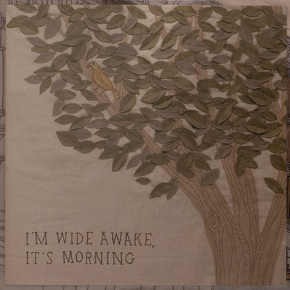 Bright Eyes - I'm Wide Awake, It's Morning | Mint (M) Mint (M)-