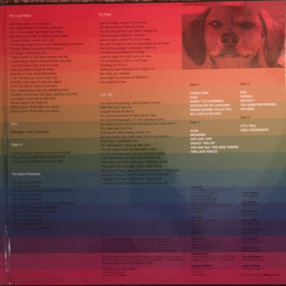 Ty Segall - Freedom’s Goblin (2xVINYL) | Mint (M) Mint (M)-