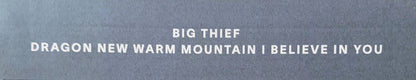 Big Thief - Dragon New Warm Mountain I Believe In You | Mint (M) Mint (M)-