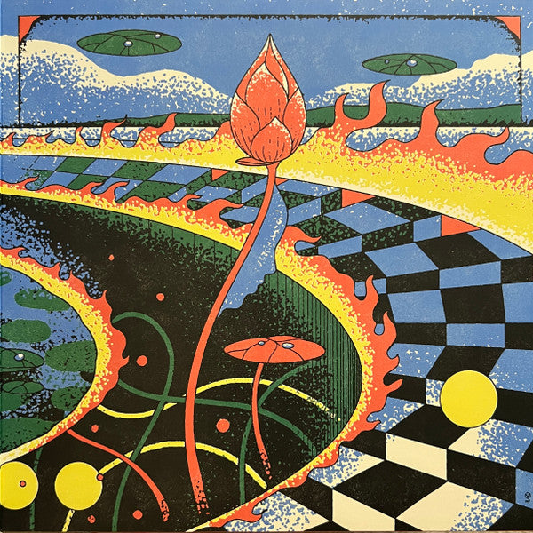 Vinyl Moon Volume 097: The Pond Beyond | Mint (M) Mint (M)-