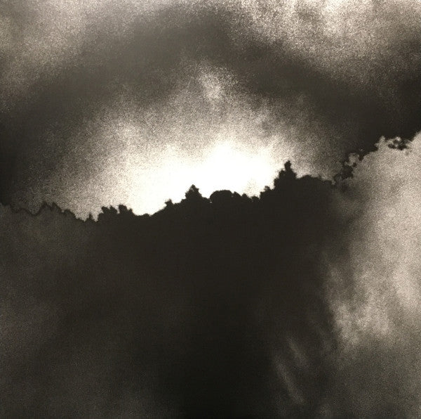 The National - Trouble Will Find Me | Mint (M) Mint (M)-
