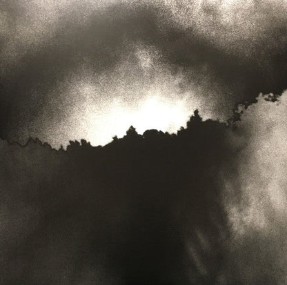 The National - Trouble Will Find Me | Mint (M) Mint (M)-