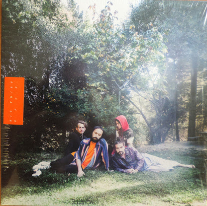 Big Thief - U.F.O.F. | Mint (M) Mint (M)-