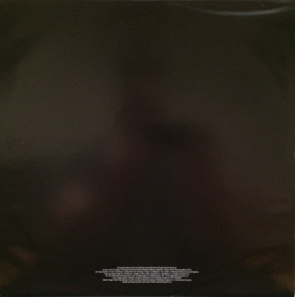 Animal Collective - Merriweather Post Pavilion (2xVINYL) | Mint (M) Mint (M)-