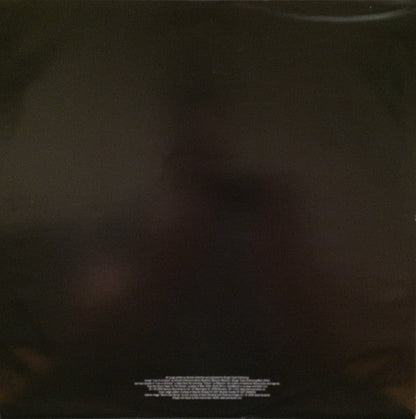 Animal Collective - Merriweather Post Pavilion (2xVINYL) | Mint (M) Mint (M)-
