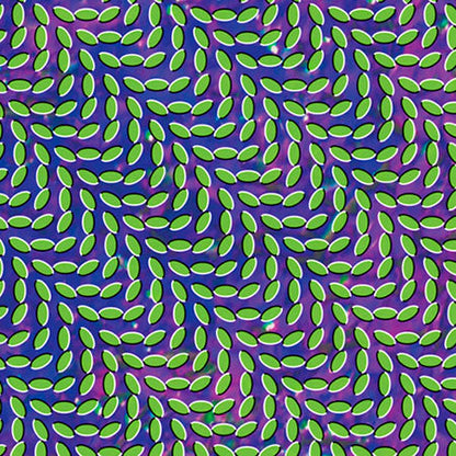 Animal Collective - Merriweather Post Pavilion (2xVINYL) | Mint (M) Mint (M)-