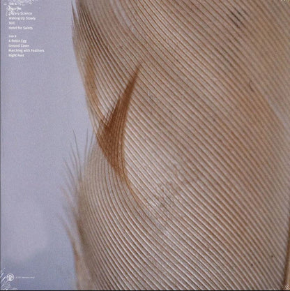 Rob Burger - Marching With Feathers | Mint (M) Mint (M)-