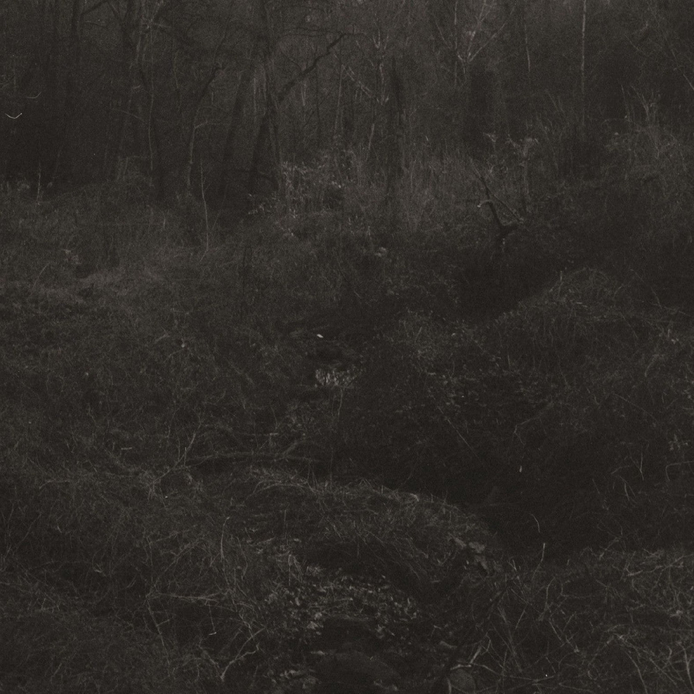 Lesley Mok - (PRESALE 7/17/26) transient (DDL VINYL) |-