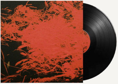 Anthony Naples - In Studio Magic (VINYL) | Mint (M) Mint (M)-