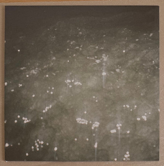 Ben Kaczor - Sirene (VINYL) |-