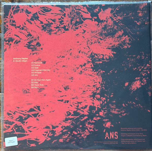 Anthony Naples - In Studio Magic (VINYL) | Mint (M) Mint (M)-