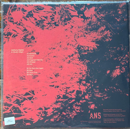 Anthony Naples - In Studio Magic (VINYL) | Mint (M) Mint (M)-