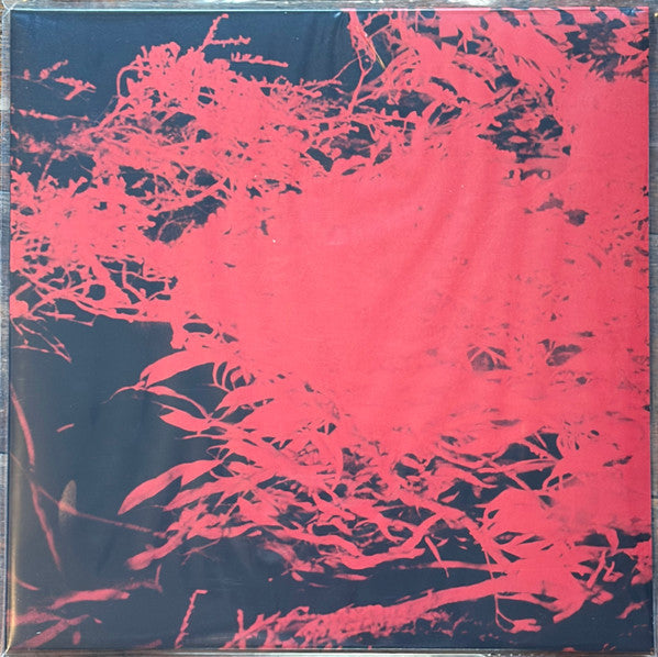 Anthony Naples - In Studio Magic (VINYL) | Mint (M) Mint (M)-