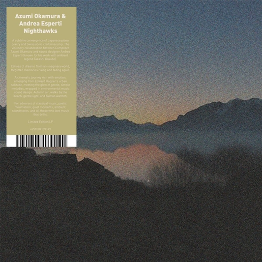 AZUMI OKAMURA & ANDREA ESPERTI - Nighthawks (VINYL) | Mint (M) Mint (M)-