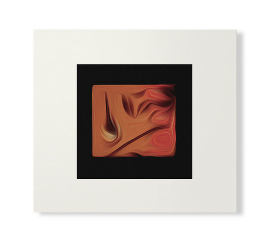 Susumu Yokota - The Boy And The Tree (Skintone Edition)[CD Version] | Mint (M) Mint (M)-