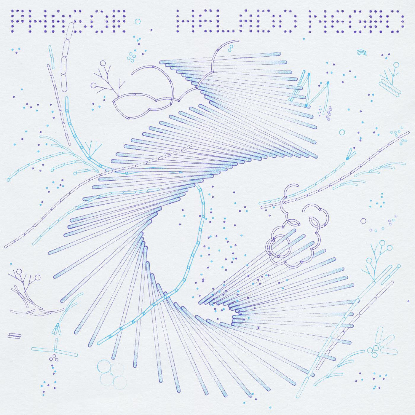 Helado Negro - Phasor | Mint (M) Mint (M)-