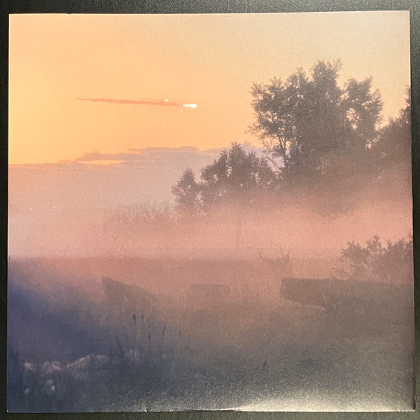 Murcof - Twin Color (Vol.1)(VINYL) | Mint (M) Mint (M)-