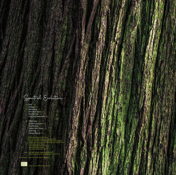 Rafael Toral - Spectral Evolution (VINYL) |-